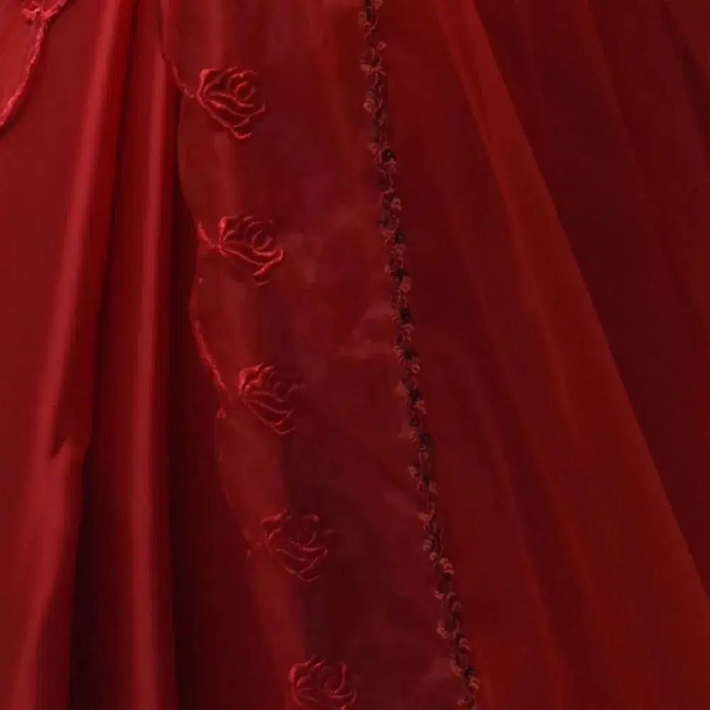 Crimson Rose Embroidered Sheer Saree view 2