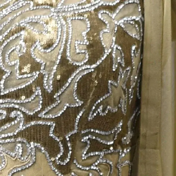 Antique Gold Double-Layered Anarkali with Silver Embroidery view 2