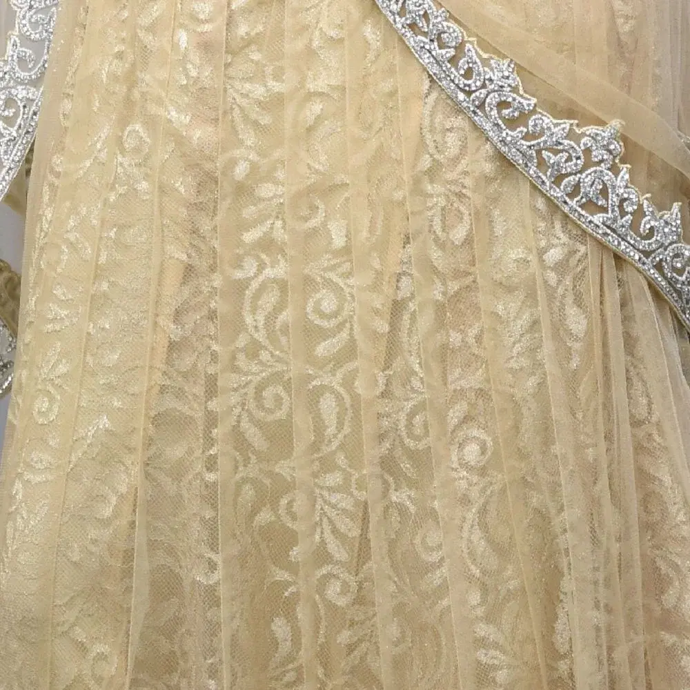 Champagne Gold & Silver Heavy Embroidered Lehenga Set view 2