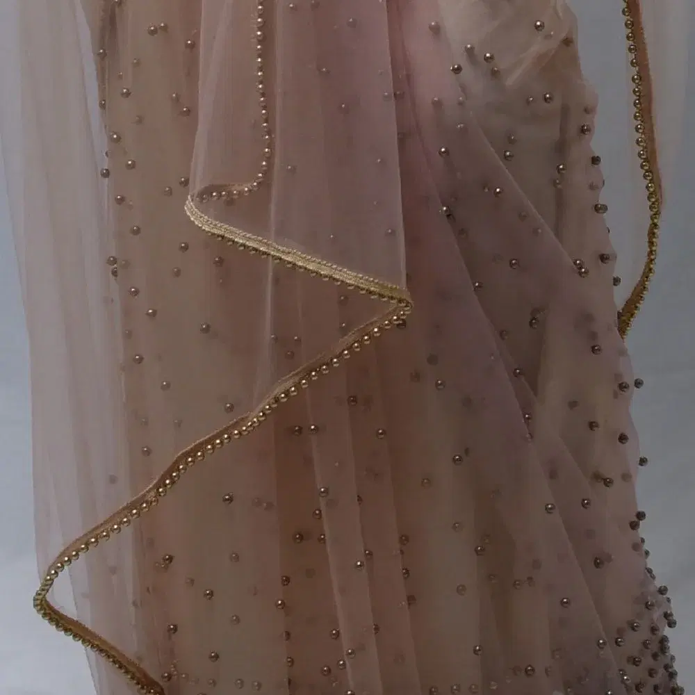 Blush Pink Sheer Net Saree with Pearl Drops view 2